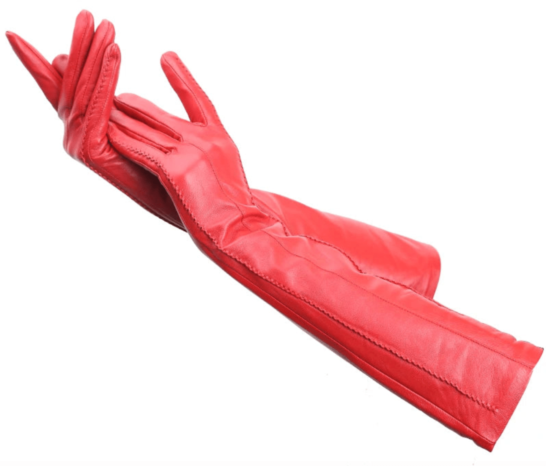 Gants Long Cuir
